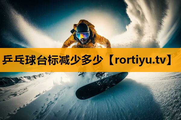 乒乓球台标减少多少